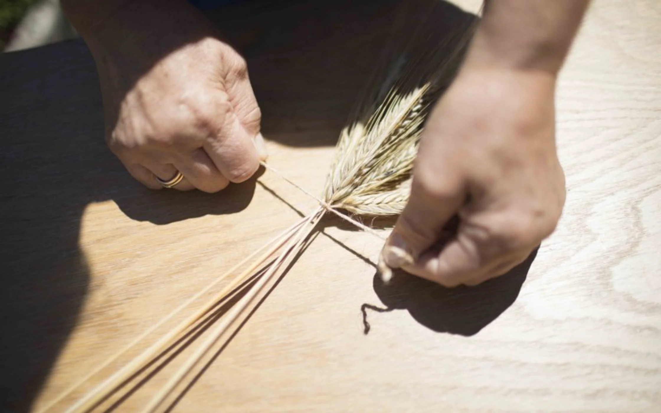 Bild3 Strohherz_MathildeWieserarminhuber_2017 18_800x533.jpg